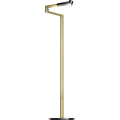 Торшер Dyson Solarcycle Morph (Black/Brass), Цвет: Black/Brass