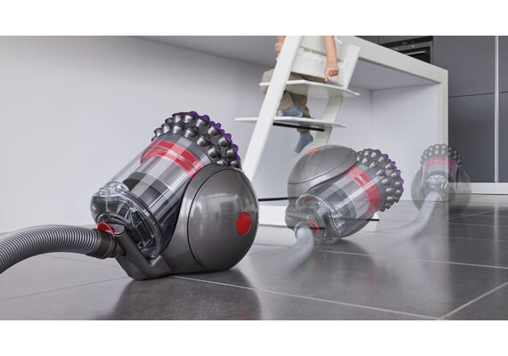 Dyson Big Ball Parquet 2, изображение 4