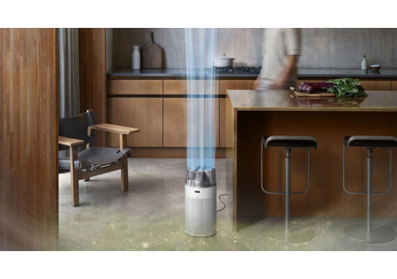Компактный очиститель Dyson HushJet™ HJ10 (White/Silver), Цвет: White/Silver, изображение 2